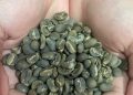 Biji kopi arabica