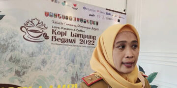 Lampung bangun rumah kurasi produk untuk pertahankan standar kopi