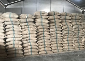 Kopi siap di ekspor