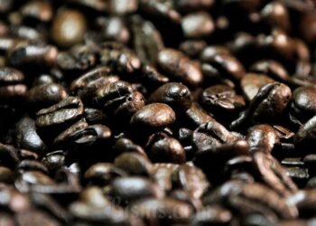 Harga Kopi Kerek Inflasi September 2024, Efek ‘Perebutan’ Kopi secara Global