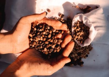 Hari Kopi Sedunia Diperingati Tanggal 1 Oktober, Ini Fakta Menariknya