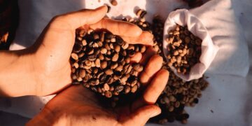 Hari Kopi Sedunia Diperingati Tanggal 1 Oktober, Ini Fakta Menariknya