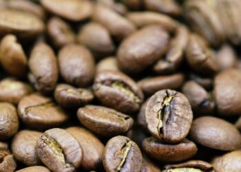 5 Fakta Specialty Coffee, Kopi Berkualitas tetapi Stok Terbatas