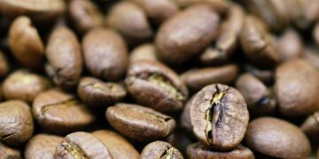 5 Fakta Specialty Coffee, Kopi Berkualitas tetapi Stok Terbatas