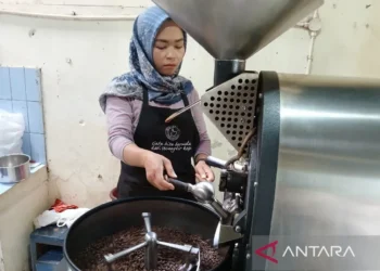 Petani Temanggung nikmati lonjakan harga kopi